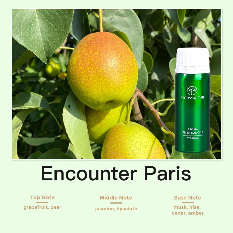 Namste Perfume Essential Oils 100ml Series - Luxurious Fragrances for Diffusers, Ideal for Home & Office Spaces