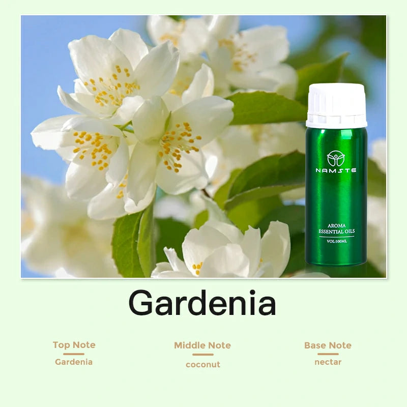 Namste Floral & Fruity 100ml Essential Oils - Fresh Floral & Sweet Fruit Scents for Home & Office