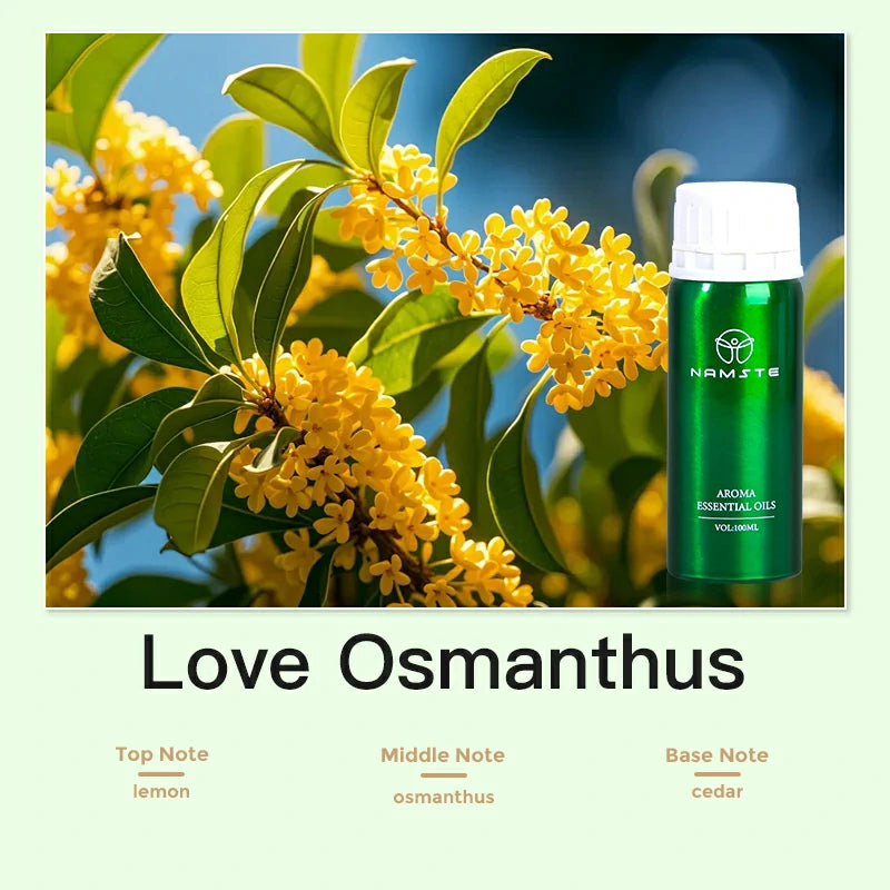 Namste Perfume Essential Oils 100ml Series - Create a Relaxing, Luxurious Ambience for Your Space