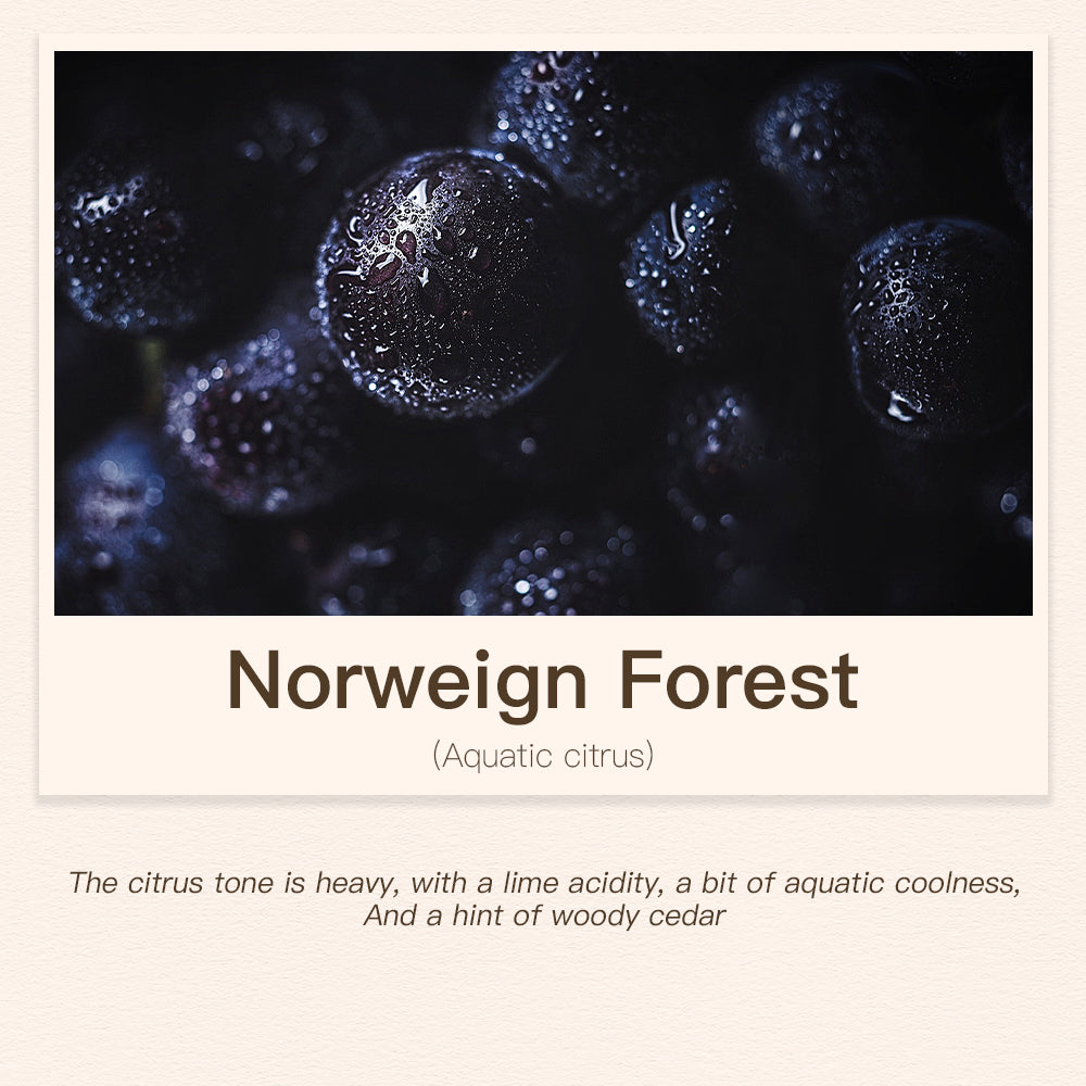 Namste Floral & Fruity Collection Series 500ml Essential Oil - Uplifting Floral & Refreshing Fruit Scents for Home and Office